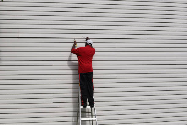 Best Hoarding Cleanup  in Ironton, MO