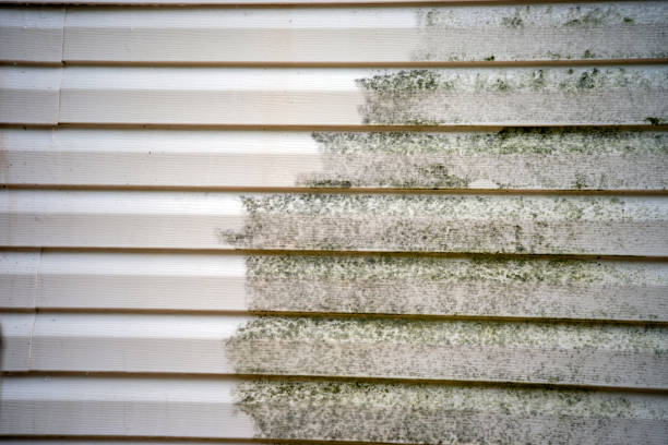 Best Construction Debris Removal  in Ironton, MO